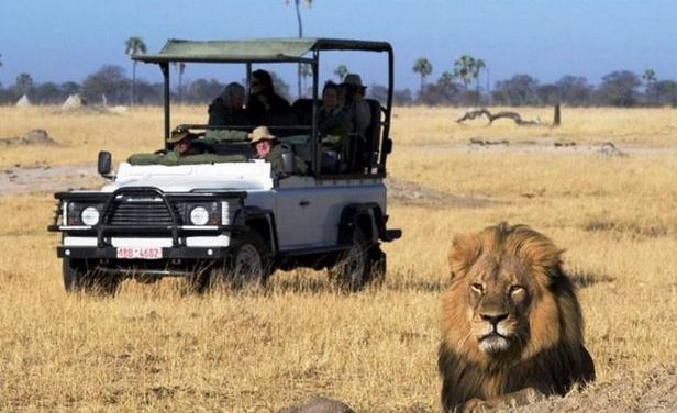 2-Day Camping Safari in Chobe National Park from Victoria Falls Review