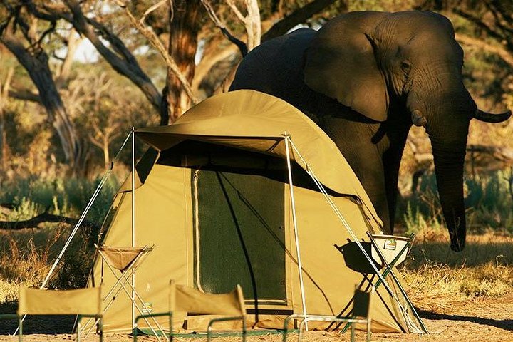 2-Day Camping Safari in Chobe National Park from Victoria Falls Review
