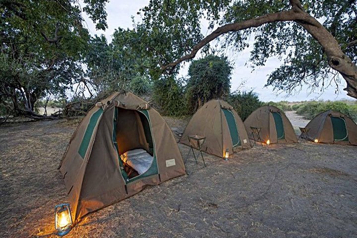 2-Day Camping Safari in Chobe National Park from Victoria Falls Review