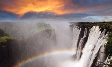 5-Day Victoria Falls and Chobe Tour from Victoria Falls Review