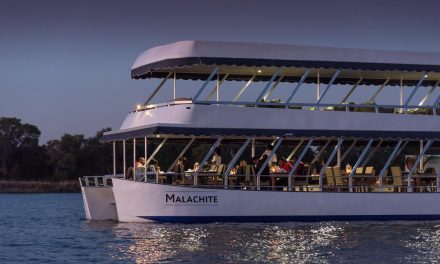 Dinner Cruise on the Zambezi River Review