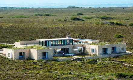Discover the Eco-Paradise of De Hoop Nature Reserve