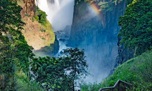 Are There Any Specific Entry Requirements For National Parks In Zimbabwe?