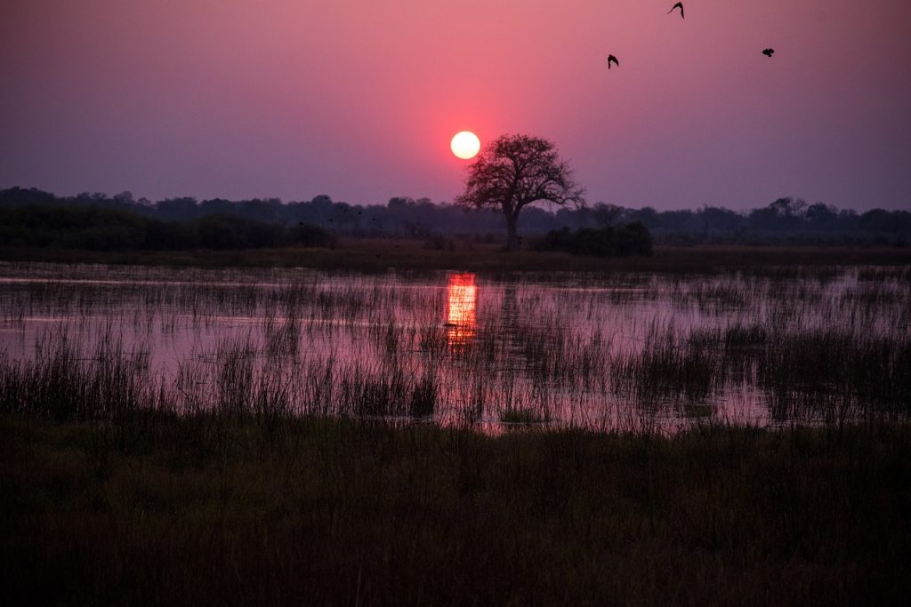 Are There Any Specific Travel Advisories For Certain Regions Of Botswana?