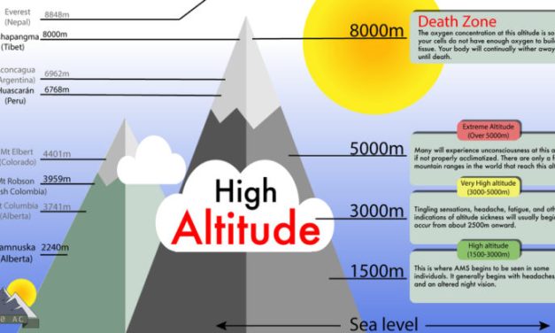 Dealing With Altitude: Tips For Africa Safaris In Elevated Regions