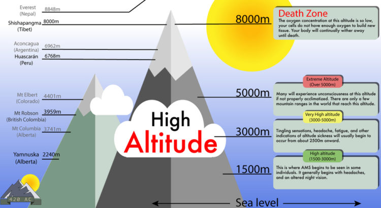 Dealing With Altitude: Tips For Africa Safaris In Elevated Regions